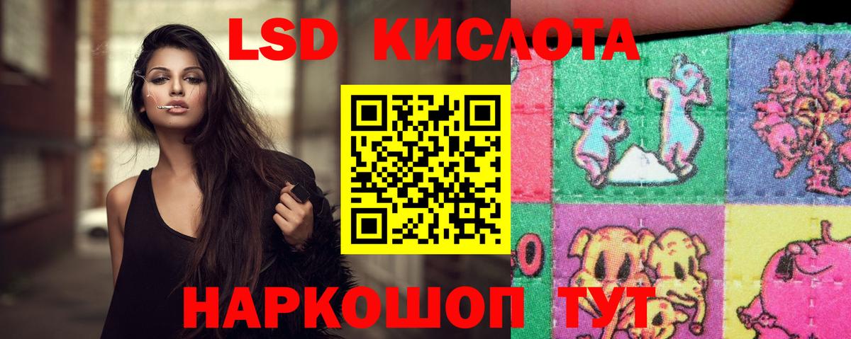 Камышлов  Лсд 25 экстази  ЛСД экстази ecstasy  Вход с VPN  Лсд 25 экстази ecstasy 