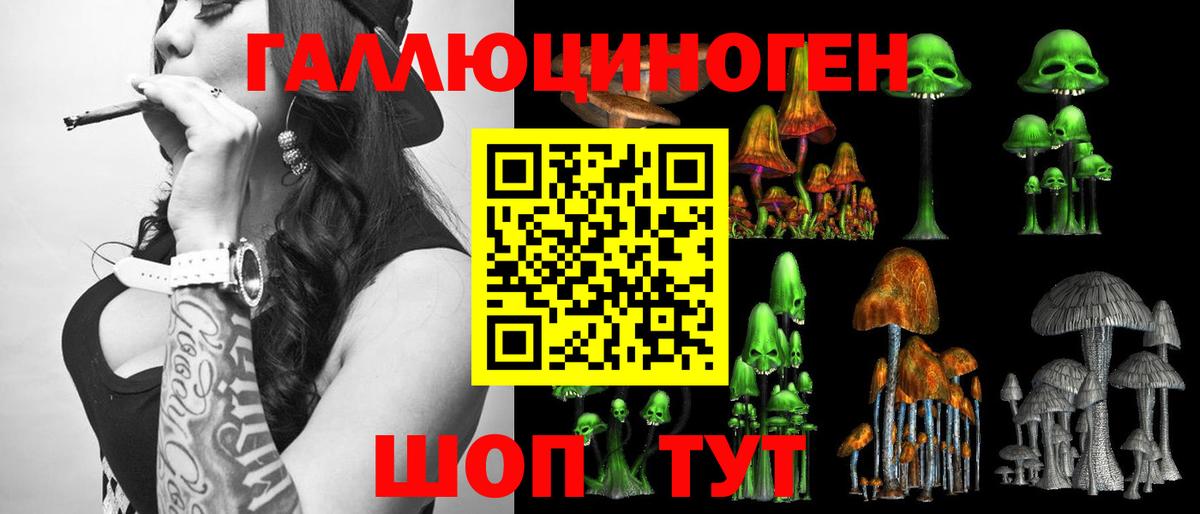 Галлюциногенные грибы прущие грибы  дарнет шоп  Камышлов  Вход с VPN 