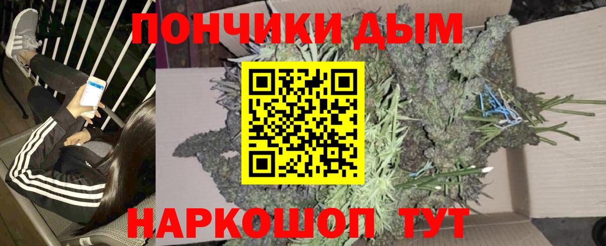 Бошки марихуана сатива  Канабис MAZAR  Камышлов  Вход с VPN  Конопля сатива  Канабис Ganja 
